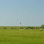 Schaeferhof Dircks 4 Westerhever