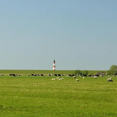Schäferhof Dircks 4 Westerhever