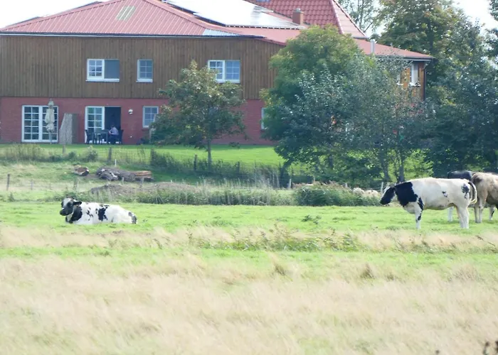 Schaeferhof Dircks 4 Westerhever