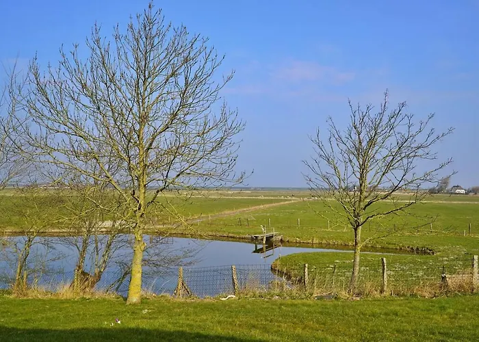 Schaeferhof Dircks 4 *