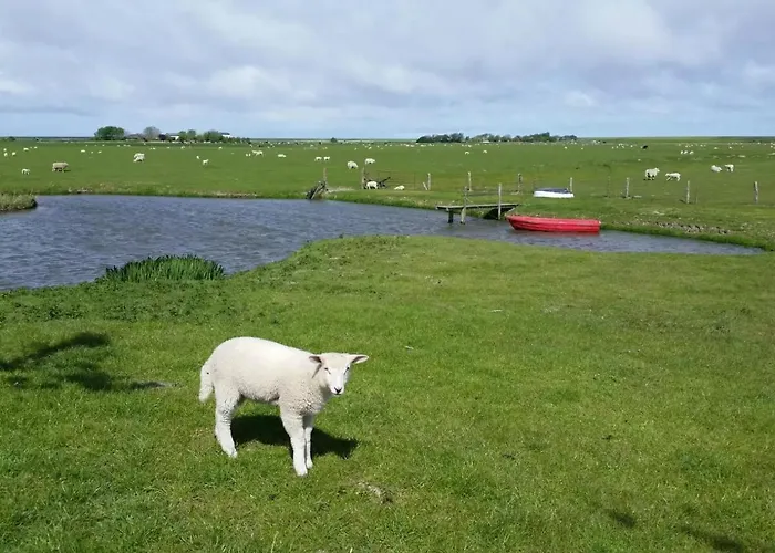 Appartamento Schaeferhof Dircks 4 Westerhever