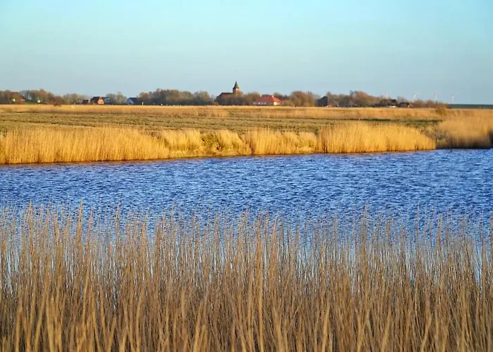 Schaeferhof Dircks 4 Westerhever